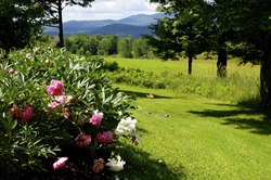 allthis_flowers_and_mountains